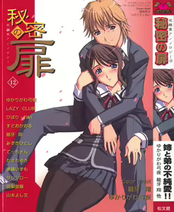 Himitsu no Tobira Vol.12 — hentai manga cover on Fhentai