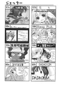Page 25 of Shotaket 8 Catalog - preview thumbnail