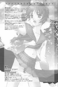 Page 3 of Scribble Project - preview thumbnail