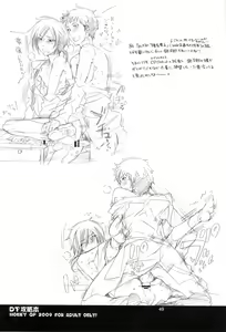 Page 49 of DT Kouryakuhon - preview thumbnail