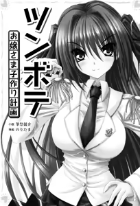 Page 5 of Tsunbote Ojousama Kotsukuri Keikaku - preview thumbnail