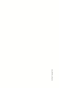 Page 3 of RUMB COKE - preview thumbnail
