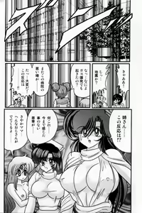 Page 117 of Seirei Tokusou Fairy Saber Shiroi Byoutou - preview thumbnail