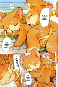 Page 8 of FUR - preview thumbnail