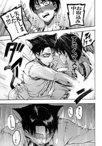 Page 15 of Nekomimi Heichou ga Hatsujoushiteru Dake no Hon - preview thumbnail
