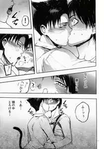Page 17 of Nekomimi Heichou ga Hatsujoushiteru Dake no Hon - preview thumbnail
