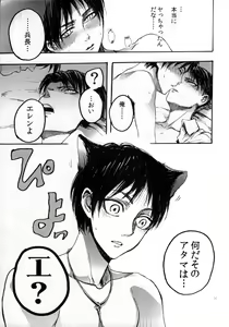 Page 33 of Nekomimi Heichou ga Hatsujoushiteru Dake no Hon - preview thumbnail