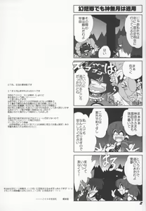Page 4 of TOHO N+ Light - preview thumbnail