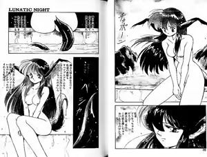 Page 19 of Lunatic Night 3 - preview thumbnail
