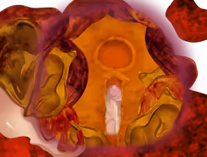 Page 117 of DRAMARA QUEST - preview thumbnail