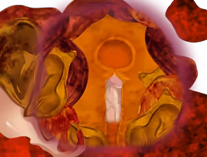 Page 119 of DRAMARA QUEST - preview thumbnail