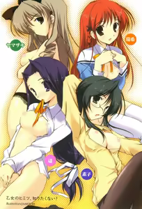 Page 4 of Imouto Lesson - Koko wa Otome no Sono - preview thumbnail