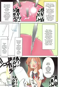 Page 33 of St.Margareta Gakuen Black File - preview thumbnail