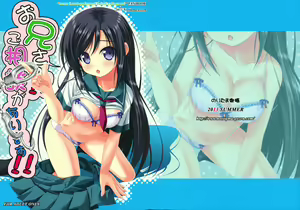 Oniisan!! Gosoudan Ga Arimasu!! — hentai manga cover on Fhentai