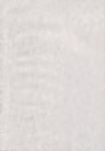 Page 3 of Iro-8 - preview thumbnail
