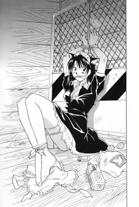 Page 163 of Maidroid Yukinojoh Vol.2 - preview thumbnail