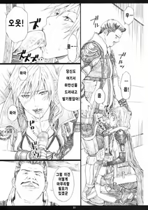 Page 11 of FFXIIIM - preview thumbnail