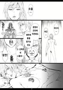 Page 27 of FFXIIIM - preview thumbnail