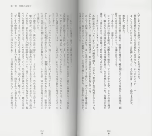 Page 30 of Shiro no Rakuin I - preview thumbnail