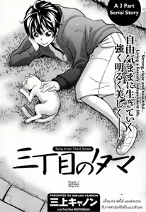 Sanchoume no Tama | Tama from Third Street — hentai manga cover on Fhentai