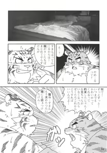 Page 35 of Jota Maximum Reboot - preview thumbnail