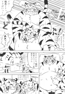 Page 57 of Jota Maximum Reboot - preview thumbnail