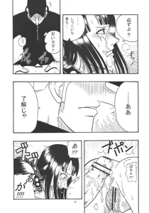 Page 13 of ROBIN SP - preview thumbnail