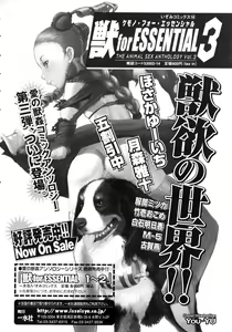 Page 145 of Touhime H - preview thumbnail