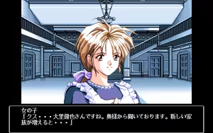 Page 11 of Kindan no Ketsuzoku - preview thumbnail