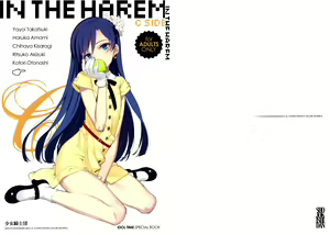 IN THE HAREM C SIDE — hentai manga cover on Fhentai