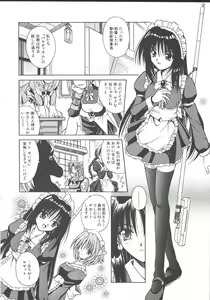 Page 11 of Palladium Garden - preview thumbnail