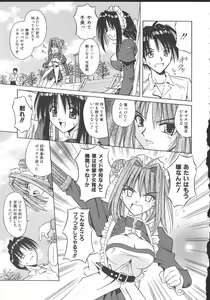 Page 40 of Palladium Garden - preview thumbnail