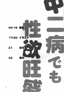 Page 21 of Chuunibyou demo Seiyoku Ousei. - preview thumbnail