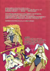Page 14 of Cecilia Usagi wa Hatsujou Chuu - preview thumbnail