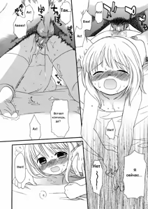 Page 16 of Shapes - preview thumbnail