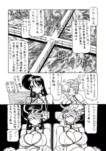 Page 5 of NNDP 8 - preview thumbnail