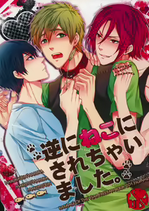Gyaku ni Neko ni Sarechaimashita. — hentai manga cover on Fhentai