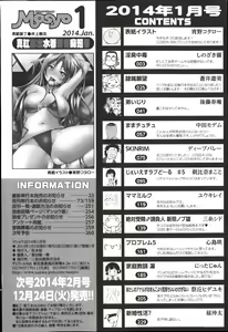 Page 262 of COMIC Masyo 2014-01 - preview thumbnail