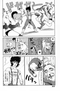 Page 211 of Attachment de Go!! - preview thumbnail