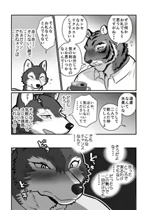 Page 13 of Ookami Sensei Tora Tou-san - preview thumbnail