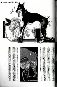 Page 10 of Brucella Hakusho - preview thumbnail