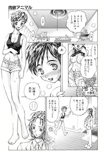 Page 163 of COMIC AUN 2006-09 Vol. 124 - preview thumbnail