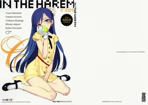 IN THE HAREM C SIDE (decensored) — hentai manga cover on Fhentai