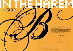 Page 2 of IN THE HAREM B SIDE (decensored) - preview thumbnail