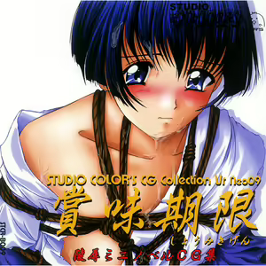 Shoumi Kigen (decensored) - hentai manga cover image