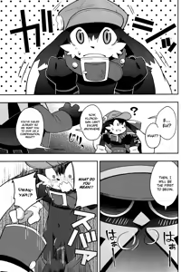 Page 5 of The twins solar - preview thumbnail