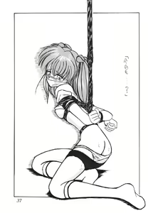 Page 38 of Second Hobaku Project - preview thumbnail