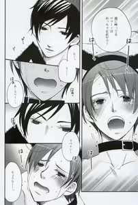 Page 13 of SR - preview thumbnail
