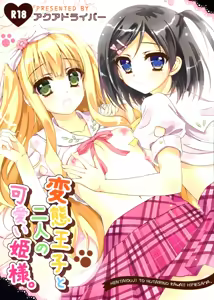 Hentai Ouji to Futari no Kawaii Hime-sama - hentai manga cover image