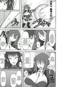 Page 8 of Shield Knight Elsain Vol. 8 Metal Dominator - preview thumbnail